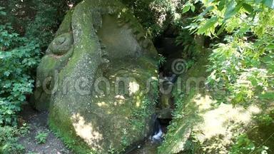 古老的石头和绿色植物之间的山涧